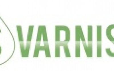 SVARNISH