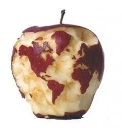Packaging in reducing food waste.