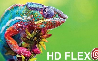 A. HATZOPOULOS INVESTS IN ESKO FullHD CDI