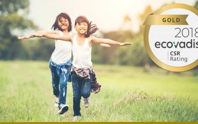 EcoVadis CSR Rating 2018 – GOLD